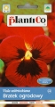 Gartenstiefmütterchen Rot mit schwarzen Auge 0,5g