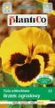 Gartenstiefmütterchen gelb mit schwarzen Auge 0,5g