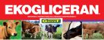 EKOGLICERAN Energie - Futtermittel für Kühe, Ziegen, Scharfe 2kg x 10