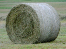 Landwirtschaftsnetz 1,25 x 2000 m HellasNet 24 kg/Stück